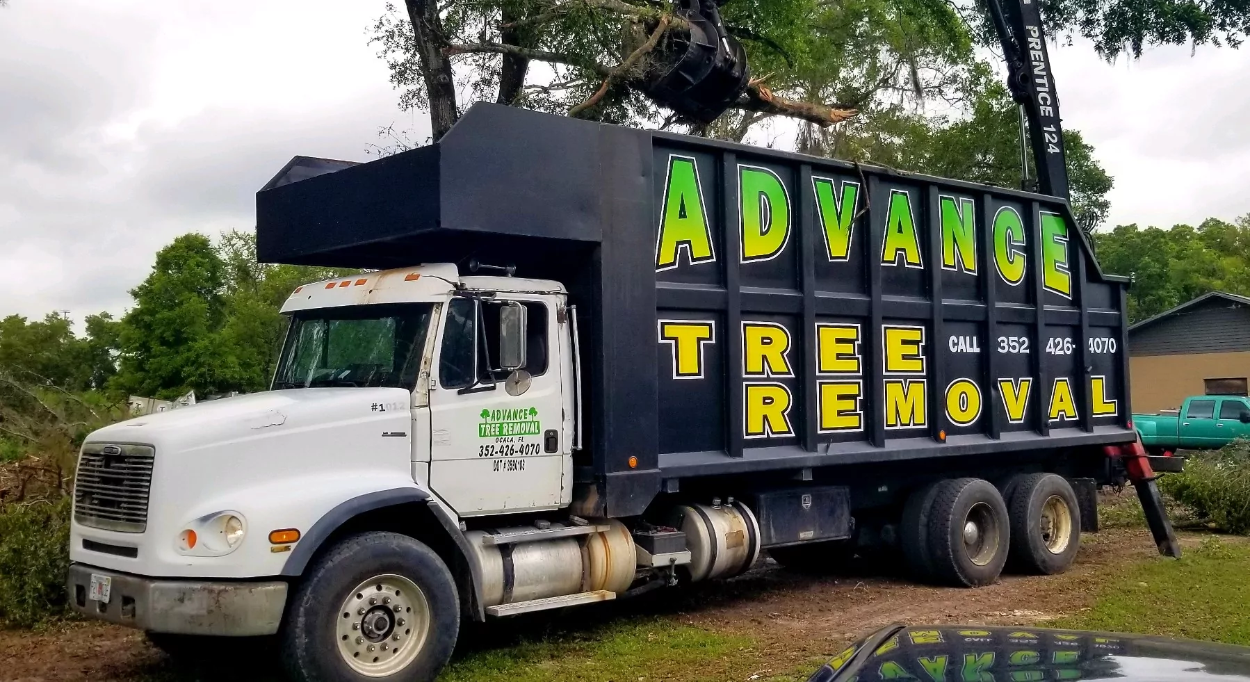 Ocala Tree Removal and Hauling Advance Tree Removal LLC